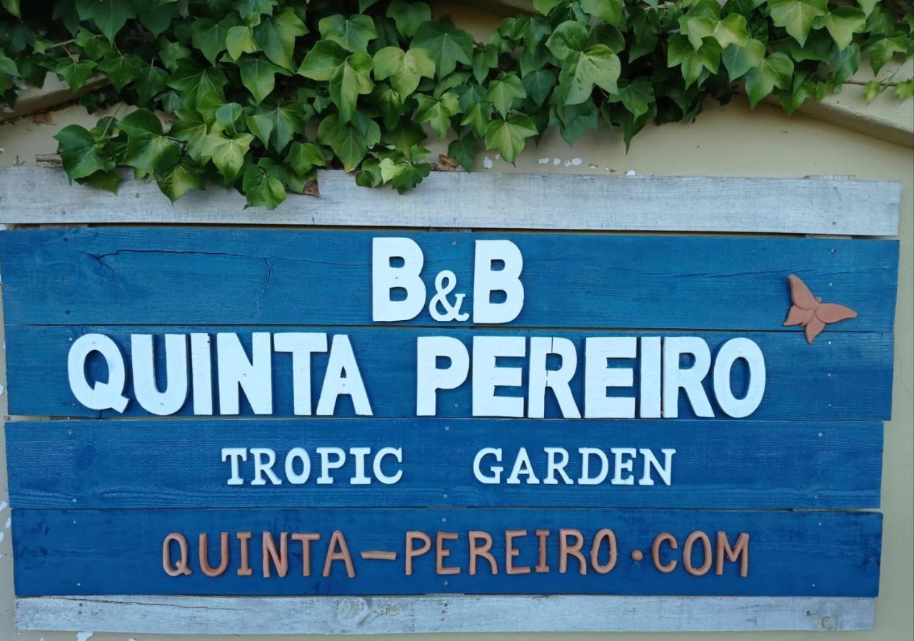 Bed and Breakfast Quinta Pereiro Tropic Garden, Algarve Moncarapacho Exteriér fotografie
