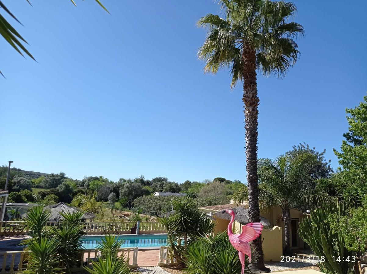 Bed and Breakfast Quinta Pereiro Tropic Garden, Algarve Moncarapacho Exteriér fotografie