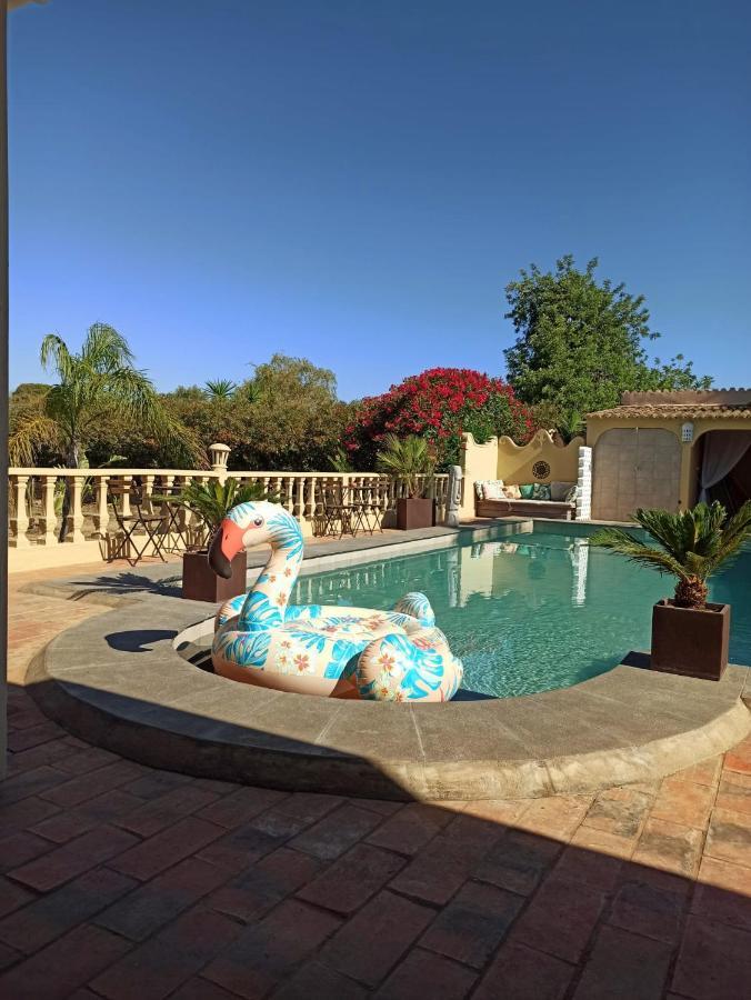 Bed and Breakfast Quinta Pereiro Tropic Garden, Algarve Moncarapacho Exteriér fotografie