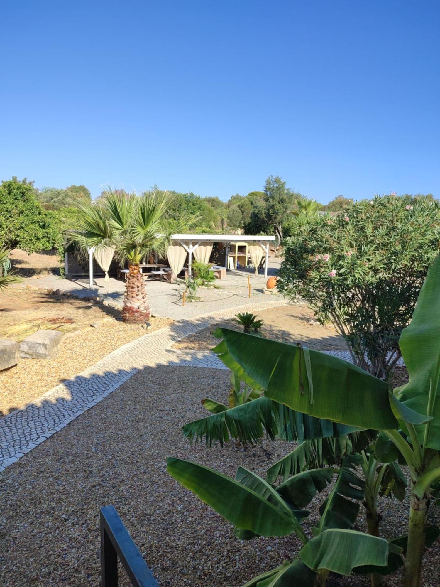 Bed and Breakfast Quinta Pereiro Tropic Garden, Algarve Moncarapacho Exteriér fotografie